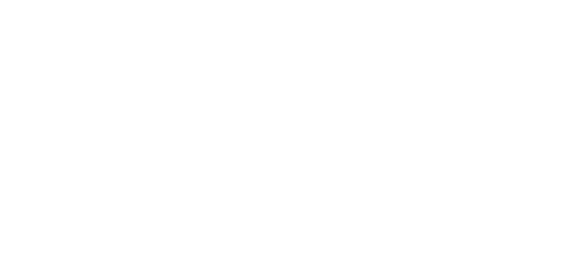 lancemore logo